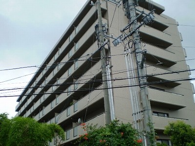 �������̶� ˡ�����Υ���ޥ󥷥��β���