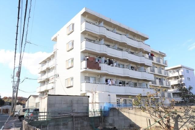 ���������ߡ֡׳���