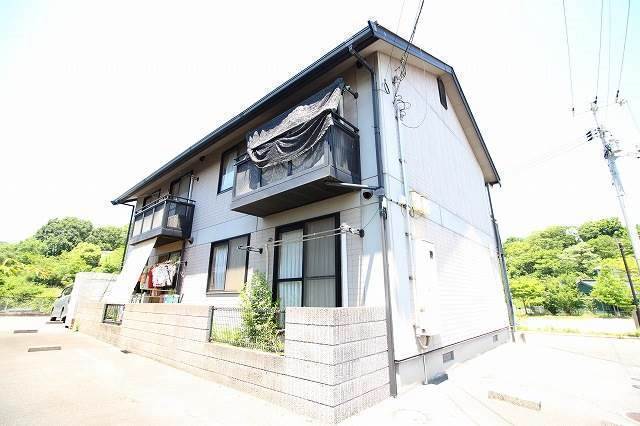 ¥¢¥¤¥ó¥¹»ùÅç