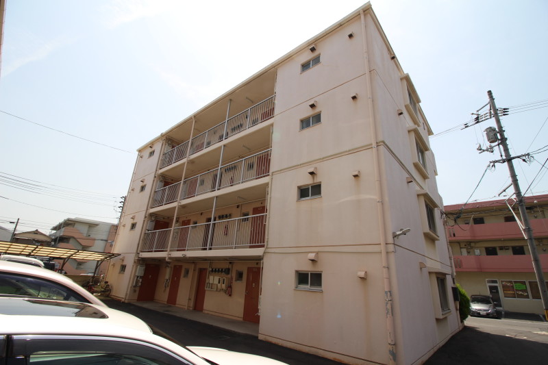 ¥Õ¥í¡¼¥ê¥Ã¥·¥å¿ÀÅĵ