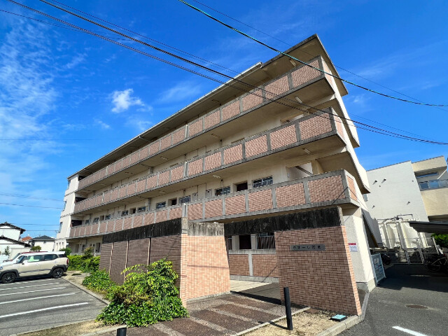 ¥¯¥ª¡¼¥ì²Ö¿¬