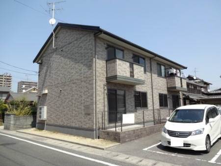 ウィルモア辰巳