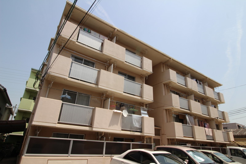 ¥Õ¥í¡¼¥ê¥Ã¥·¥å¿ÀÅĶ