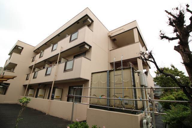 ¥·¥ã¥¤¥ó¥Ö¥é¥¤¥È¼÷¡¡¶