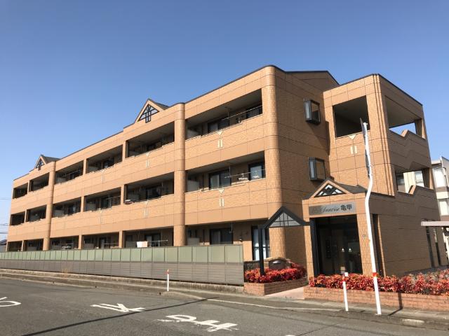 サンライズ亀甲