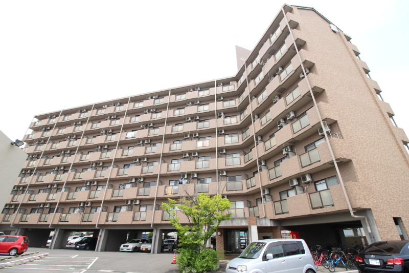 ¥¢¥¸¥å¡¼¥ë²¼ÃæÌî