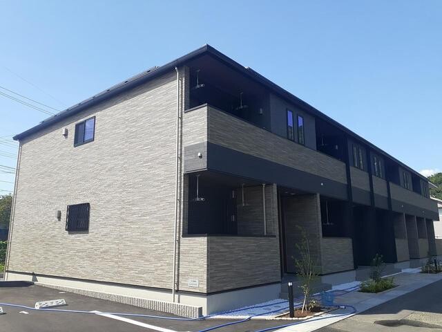 アイリス パディ